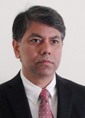 Partha P Banerjee