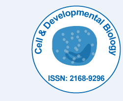 Cell & Developmental Biology