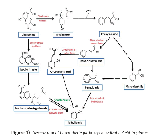 salicylic