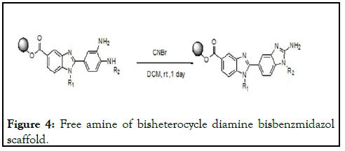 Clinical-Chemistry-amine