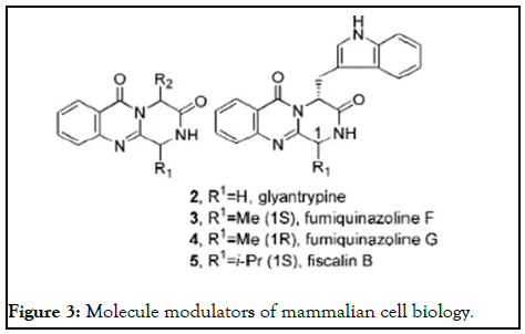 Clinical-Chemistry-cell