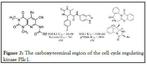 Clinical-Chemistry-region