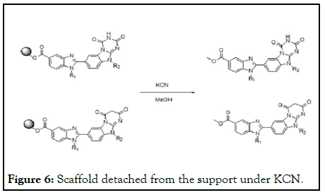 Clinical-Chemistry-support