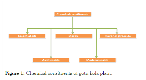 Dermatology-consituents