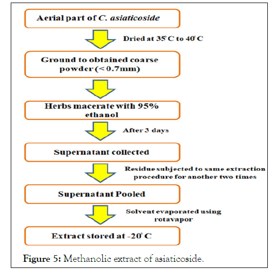 Dermatology-methanolic