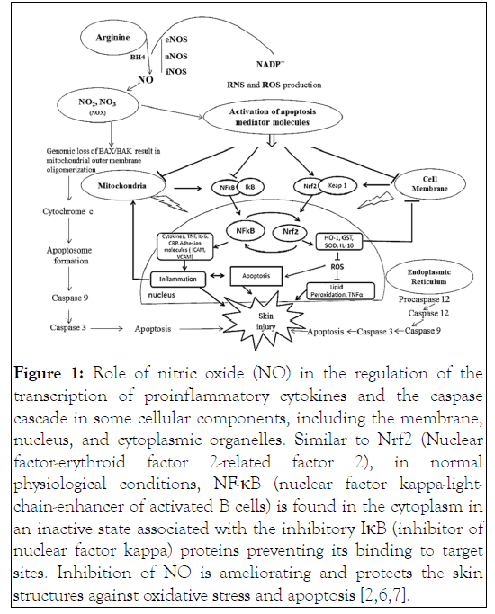 Dermatology-nitric