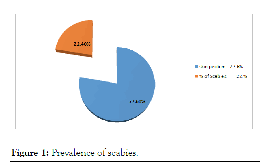 Dermatology-scabies