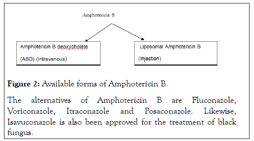 Fungal-Genomics-Posaconazole