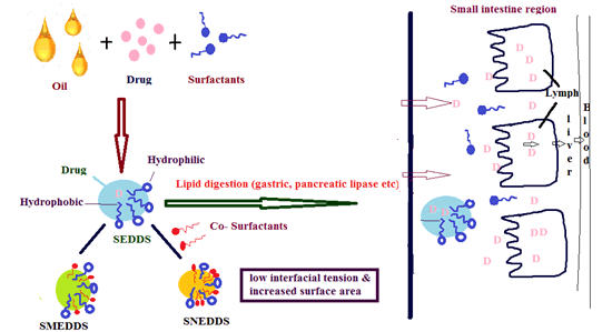 Journal-Drug-Alcohol-Research-Mechanism