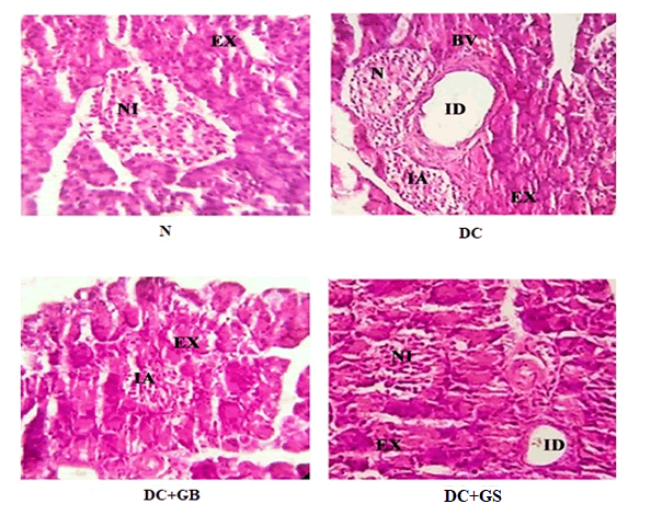 Journal-Nutrition-Food-Sciences-Histopathology