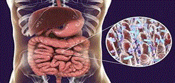 Journal-Nutrition-Food-Sciences-Intestinal