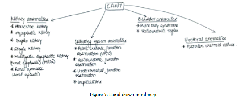 Kidney-mind-map