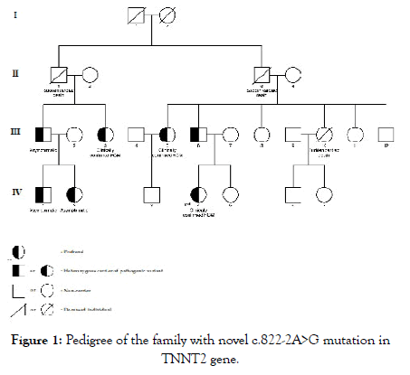 Medical-Diagnostic-mutation