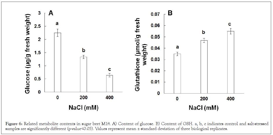 glucose