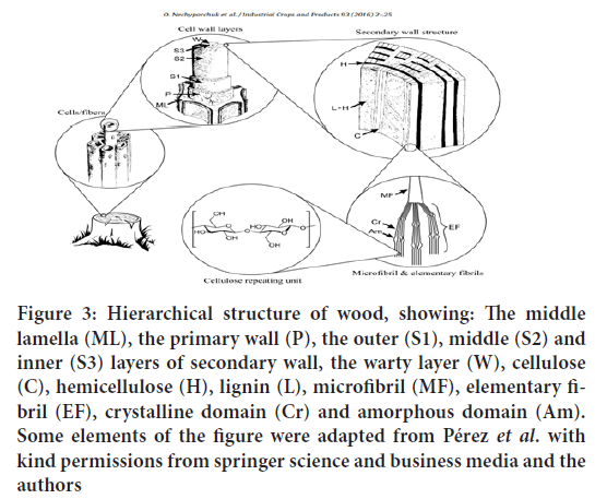 Hierarchical