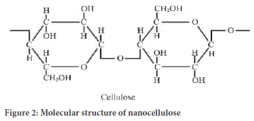 Molecular