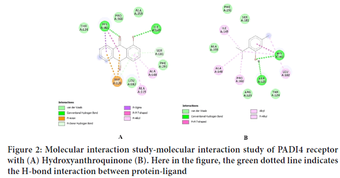 Molecular