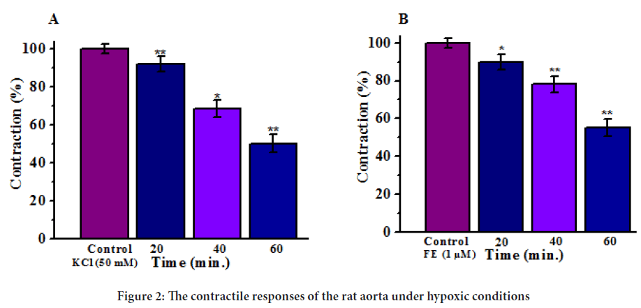 contractile