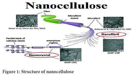 nanocellulose