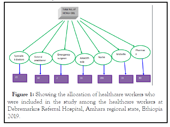 anesthesia-clinical-amhara