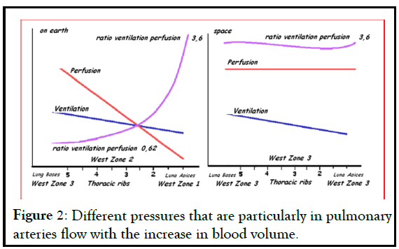 anesthesia-clinical-arteries