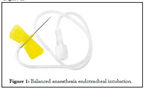 anesthesia-clinical-balenced