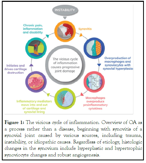 anesthesia-clinical-inflammation