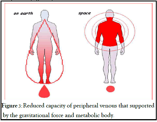 anesthesia-clinical-peripheral