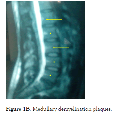 anesthesia-clinical-plaques