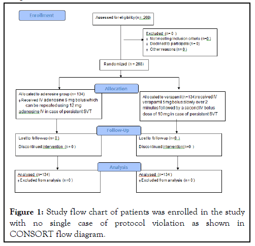 anesthesia-clinical-protocol