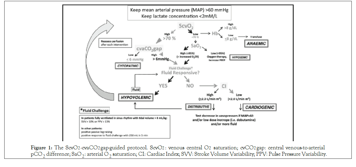 anesthesia-clinical-protocol