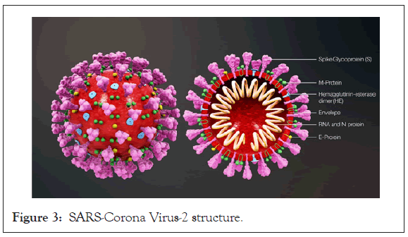 antivirals-antiretrovirals-Corona