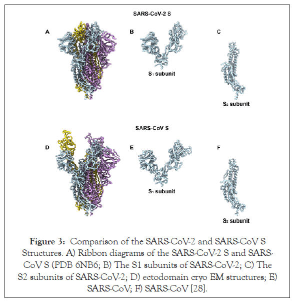 antivirals-antiretrovirals-Ribbon