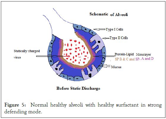 antivirals-antiretrovirals-alveoli