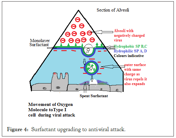 antivirals-antiretrovirals-anti