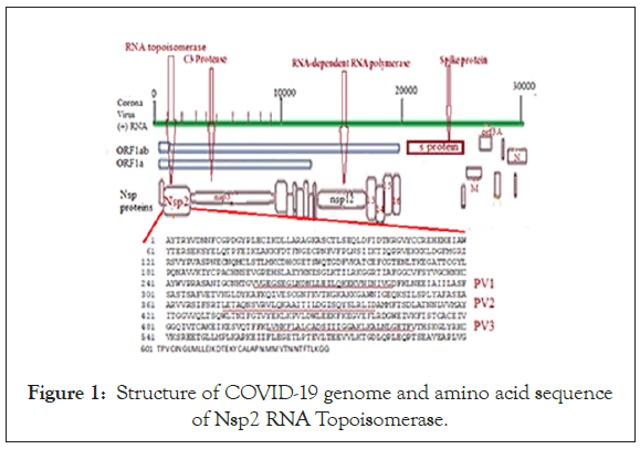 antivirals-antiretrovirals-genome