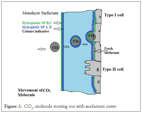 antivirals-antiretrovirals-molecule