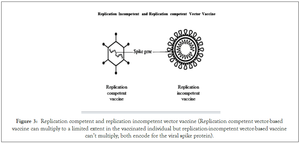 antivirals-antiretrovirals-replication