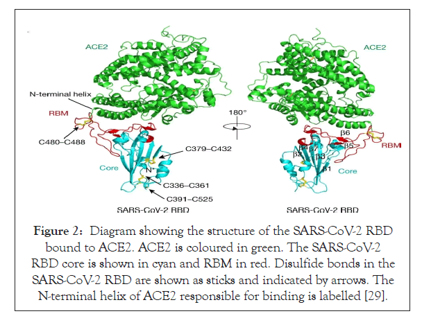 antivirals-antiretrovirals-sticks