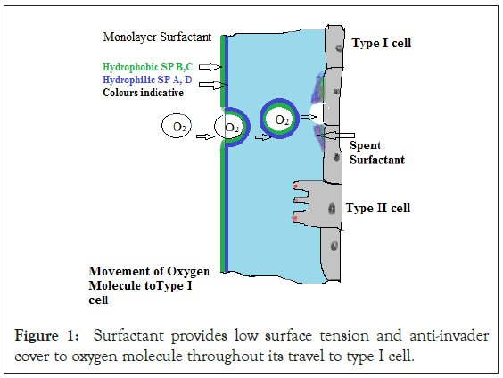 antivirals-antiretrovirals-surface