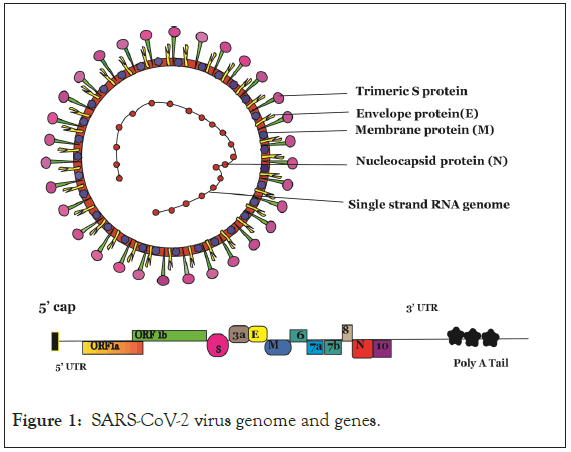 antivirals-antiretrovirals-virus