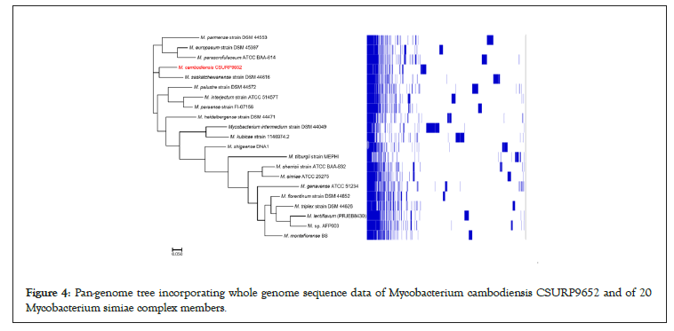 genome