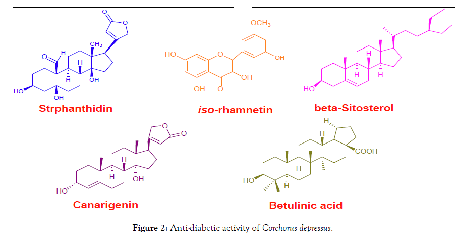 applied-pharmacy-diabetic-activity