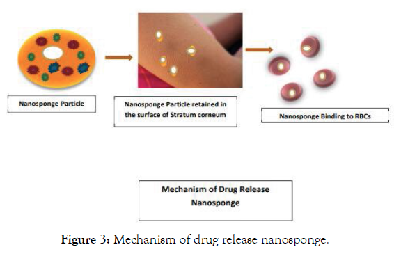 applied-pharmacy-drug-release