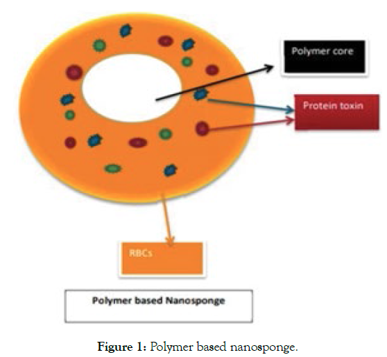 applied-pharmacy-polymer-nanosponge