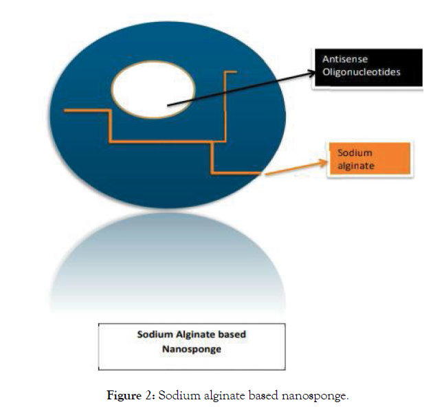 applied-pharmacy-sodium-alginate