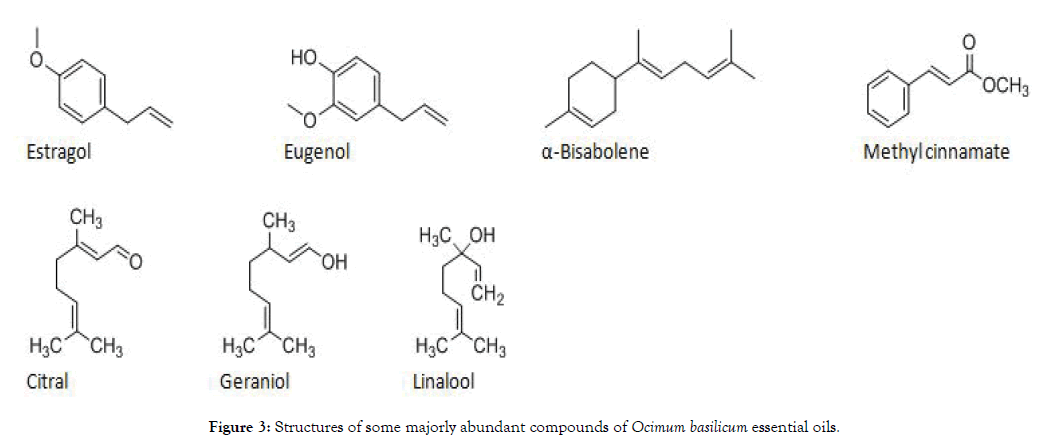 aromatic-plants-abundant-compounds