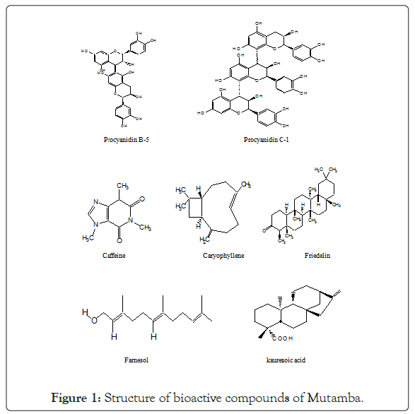 aromatic-plants-bioactive-compounds
