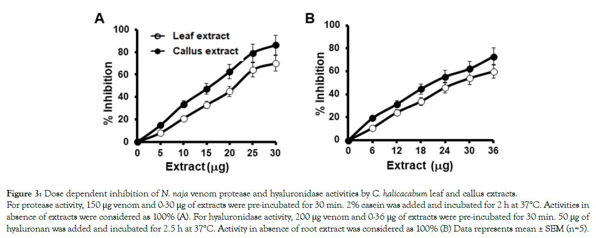 aromatic-plants-dependent-inhibition