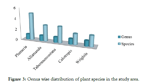 aromatic-plants-genus-wise